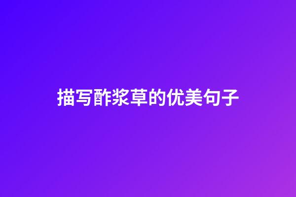 描写酢浆草的优美句子