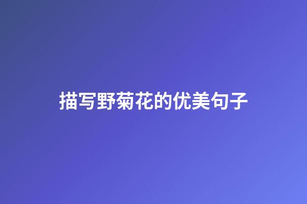 描写野菊花的优美句子