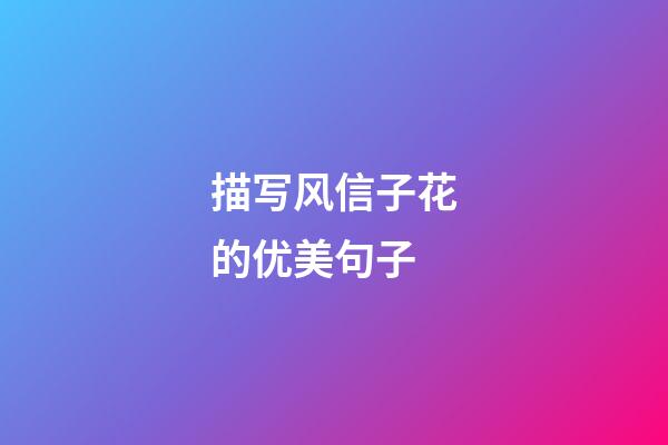 描写风信子花的优美句子