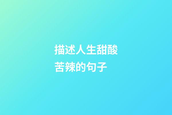 描述人生甜酸苦辣的句子