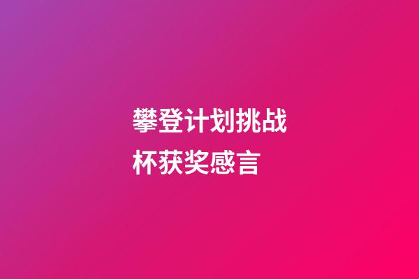 攀登计划挑战杯获奖感言
