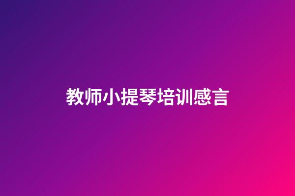教师小提琴培训感言