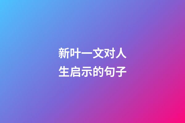 新叶一文对人生启示的句子