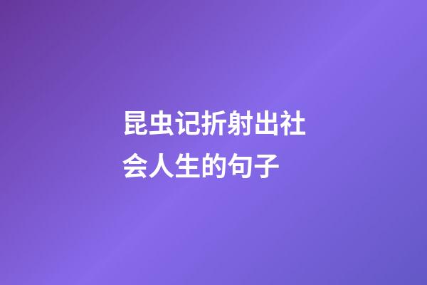 昆虫记折射出社会人生的句子