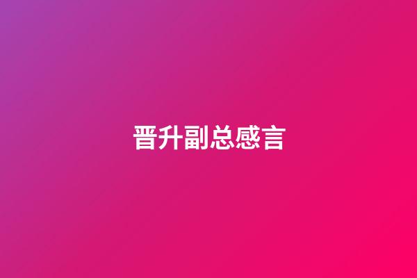 晋升副总感言