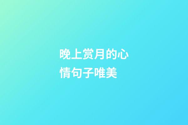 晚上赏月的心情句子唯美