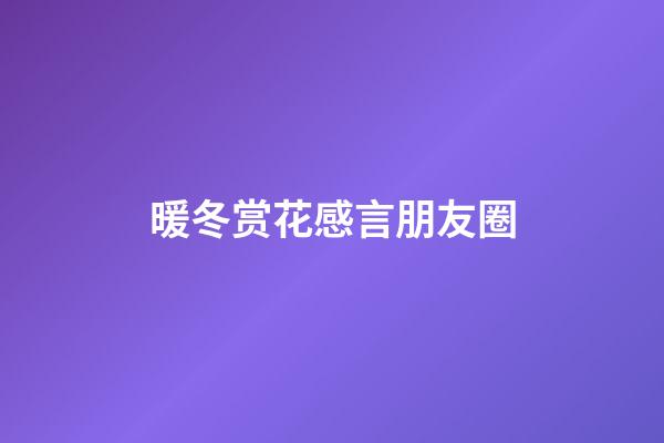 暖冬赏花感言朋友圈