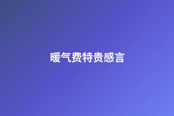 暖气费特贵感言