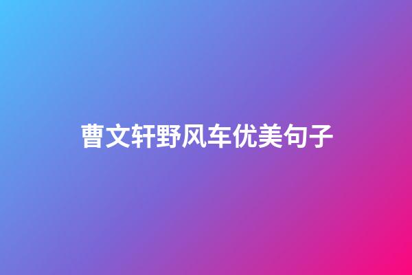 曹文轩野风车优美句子