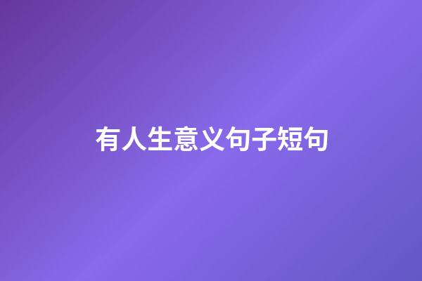 有人生意义句子短句