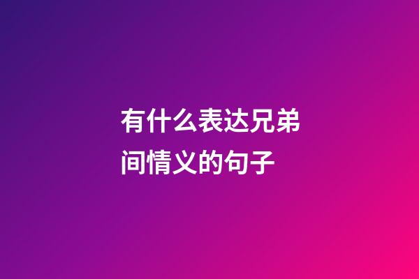 有什么表达兄弟间情义的句子