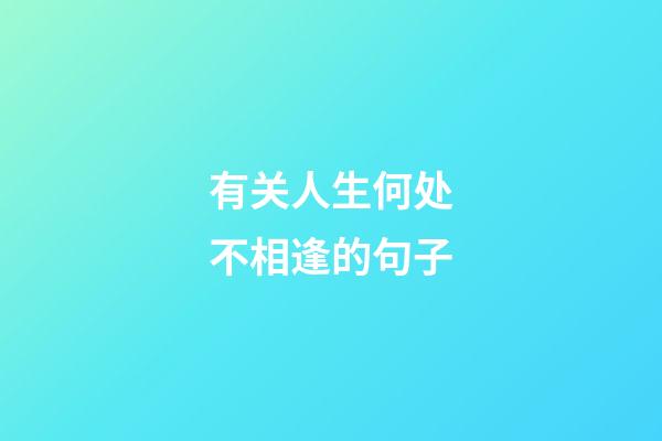 有关人生何处不相逢的句子