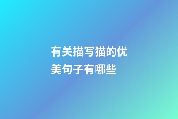 有关描写猫的优美句子有哪些