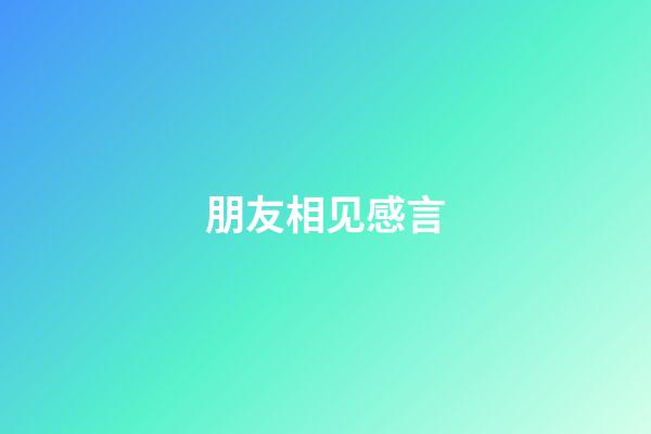 朋友相见感言