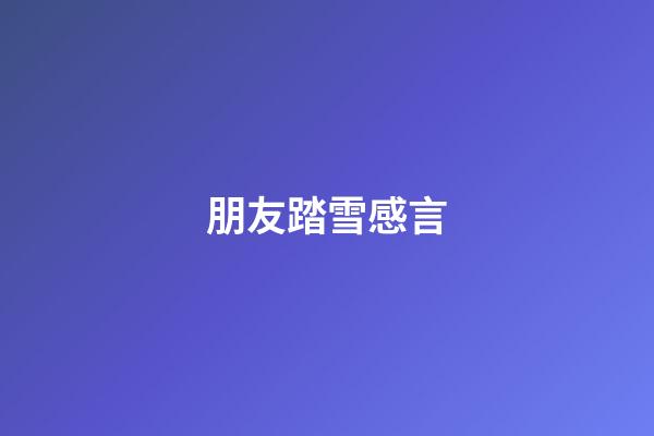 朋友踏雪感言
