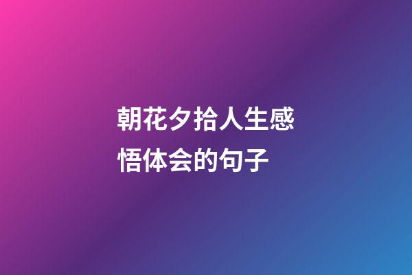 朝花夕拾人生感悟体会的句子