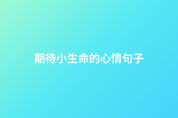 期待小生命的心情句子
