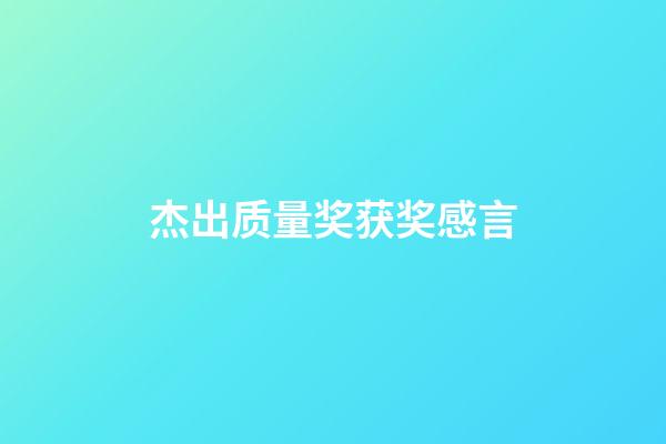 杰出质量奖获奖感言