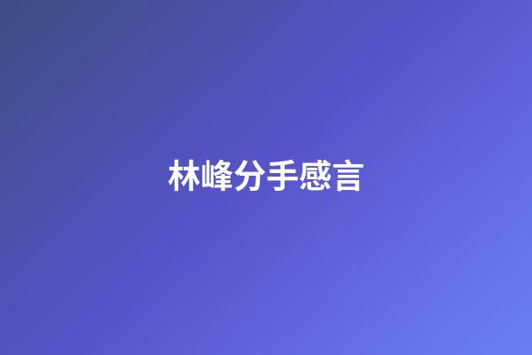 林峰分手感言