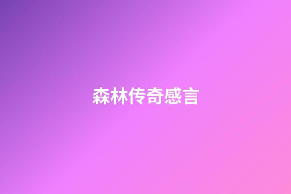 森林传奇感言