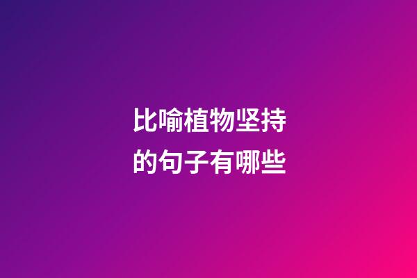 比喻植物坚持的句子有哪些
