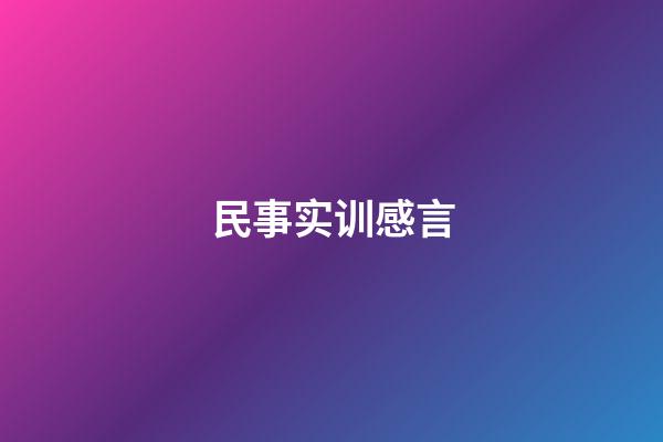 民事实训感言