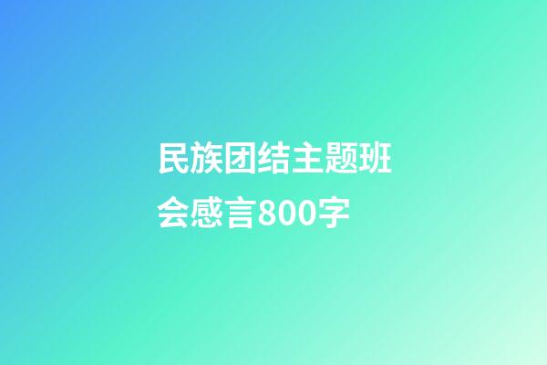 民族团结主题班会感言800字