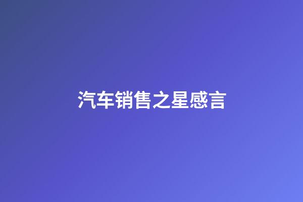 汽车销售之星感言