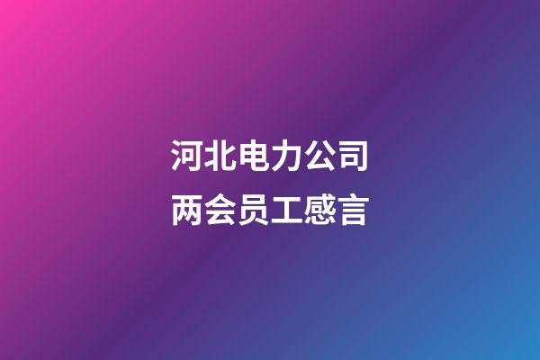 河北电力公司两会员工感言