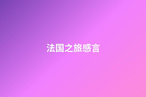 法国之旅感言