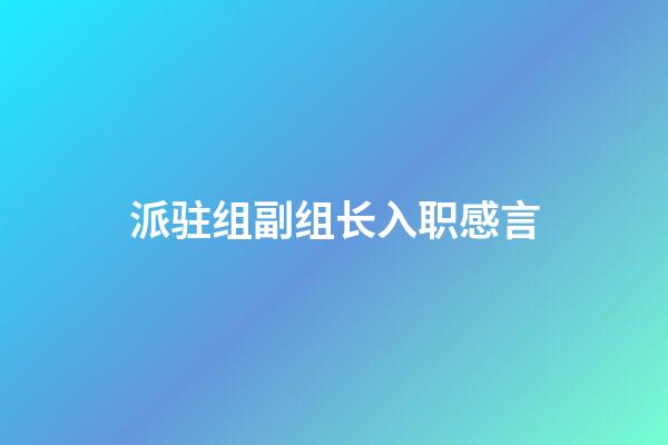 派驻组副组长入职感言