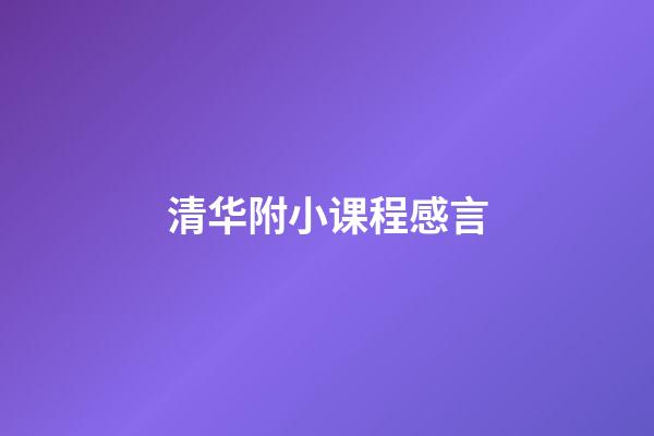 清华附小课程感言