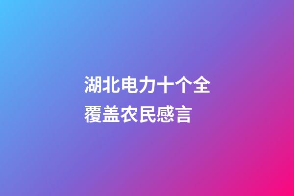 湖北电力十个全覆盖农民感言