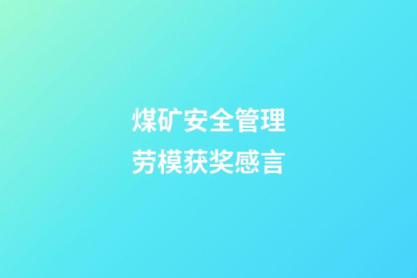 煤矿安全管理劳模获奖感言