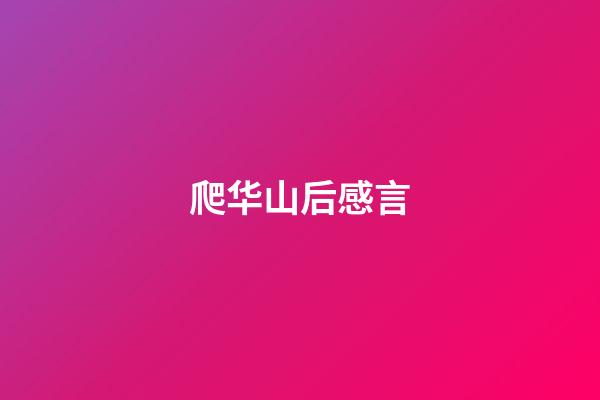 爬华山后感言