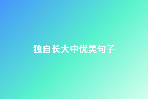 独自长大中优美句子