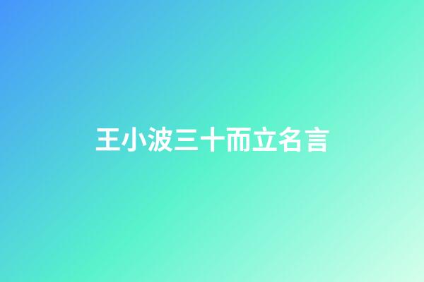 王小波三十而立名言