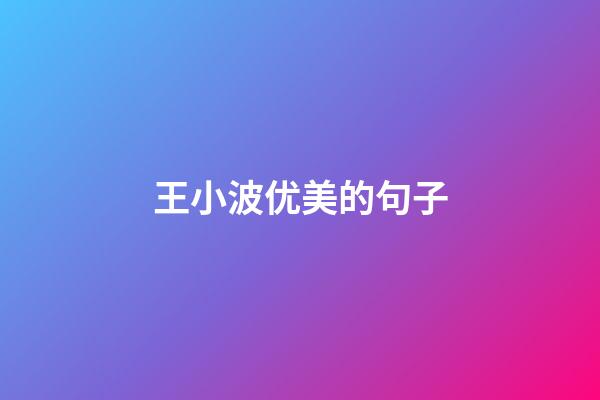 王小波优美的句子