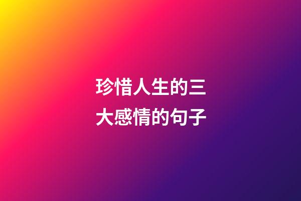 珍惜人生的三大感情的句子