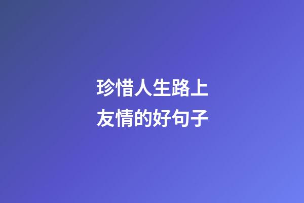 珍惜人生路上友情的好句子