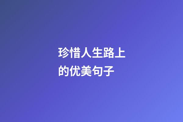 珍惜人生路上的优美句子