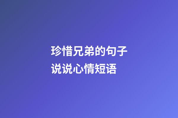 珍惜兄弟的句子说说心情短语