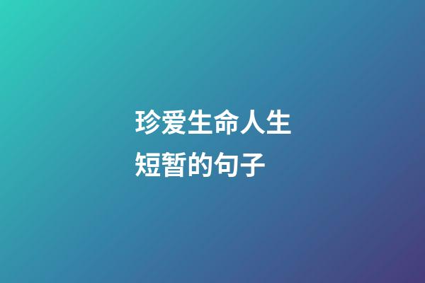 珍爱生命人生短暂的句子