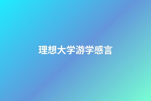 理想大学游学感言