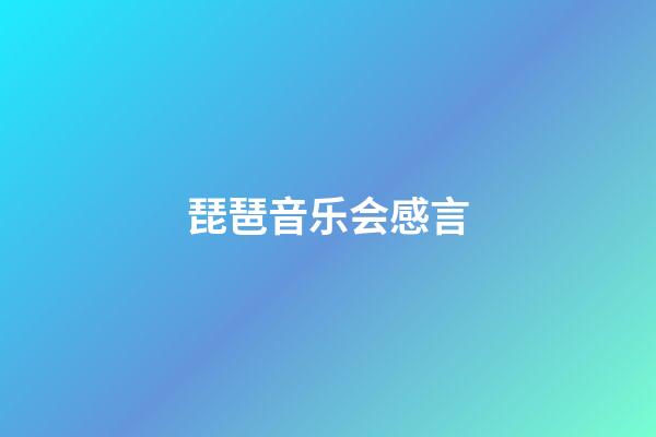 琵琶音乐会感言
