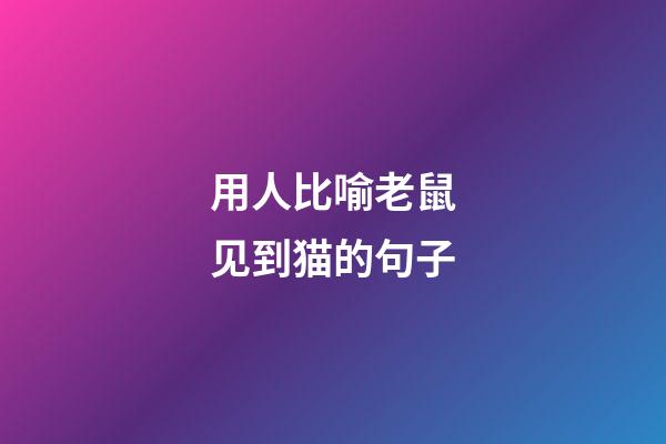 用人比喻老鼠见到猫的句子