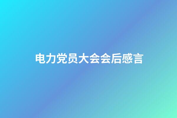 电力党员大会会后感言