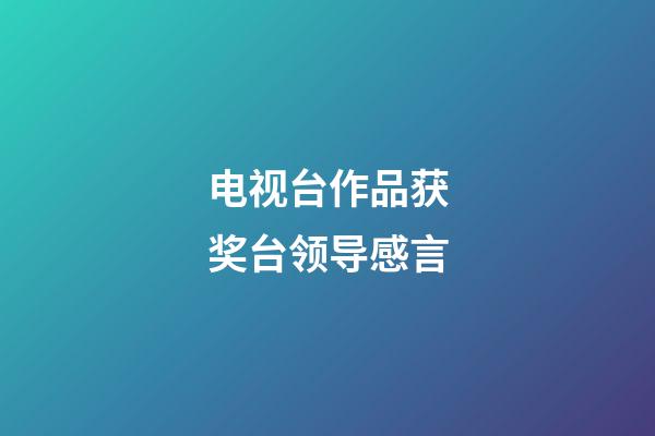 电视台作品获奖台领导感言
