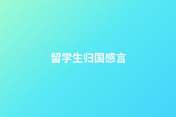 留学生归国感言