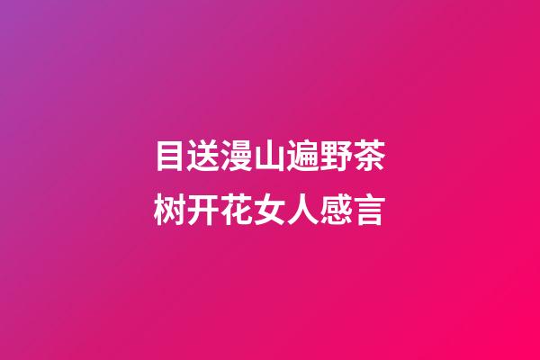目送漫山遍野茶树开花女人感言